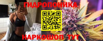 СК Краснокаменск