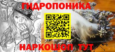 СК Краснокаменск